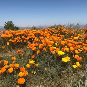 Meet your Posher, Valerie